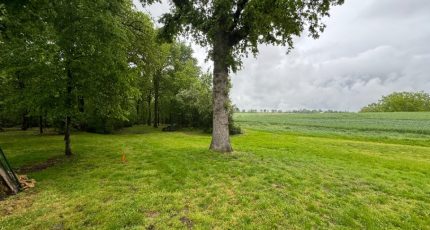 Pin-Balma Maison neuve - 1987193-10599annonce42024102541kof.jpeg Oc Résidences