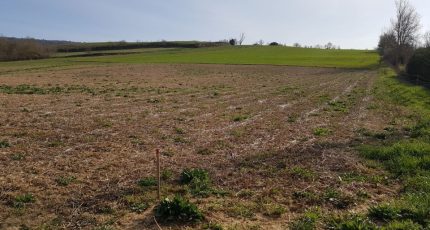 Vaudreuille Terrain à bâtir - 2074390-3185annonce120250208MLFN9.jpeg Oc Résidences