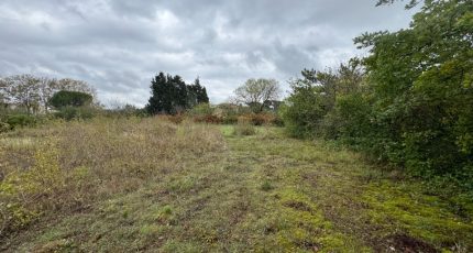Castelnaudary Maison neuve - 2090368-3185annonce120250226lEfap.jpeg Oc Résidences