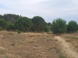 Terrain à bâtir à Marcorignan (11120) 2097178-11177annonce2202503057LJPN.jpeg Oc Résidences