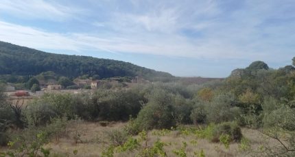 Bize-Minervois Maison neuve - 2103972-11177annonce220250312ALMRo.jpeg Oc Résidences