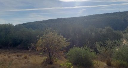 Bize-Minervois Maison neuve - 2103984-11177annonce220250312JOvWZ.jpeg Oc Résidences