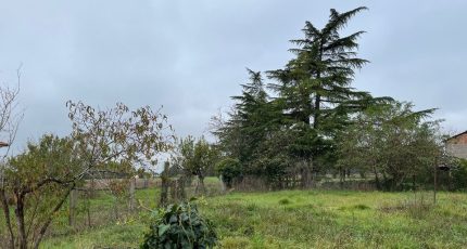 Terssac Terrain à bâtir - 2079479-3180annonce12024102363TD3.jpeg Oc Résidences