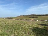 Maison à construire à Carlus (81990) 2079368-3177annonce120250213wTePq.jpeg Oc Résidences