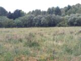 Terrain à bâtir à Bize-Minervois (11120) 2503148-11177annonce220260506VqNGq.jpeg Oc Résidences