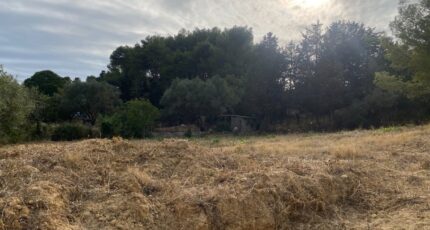 Bize-Minervois Maison neuve - 2503153-11177annonce120260506Po3nw.jpeg Oc Résidences