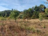 Terrain à bâtir à Azille (11700) 2563395-11177annonce120260624ATWsk.jpeg Oc Résidences