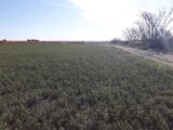 Maison à construire à Saint-Laurent-de-la-Cabrerisse (11220) 2508453-11177annonce120260512iClnw.jpeg Oc Résidences