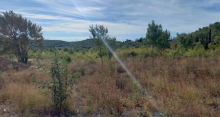 Azille Maison neuve - 2563403-11177annonce220260624Occ9n.jpeg Oc Résidences