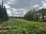 Maison à construire à La Digne-d’Aval (11300) 2539887-4183annonce120251201ynoQb.jpeg Oc Résidences