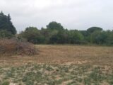 Terrain à bâtir à Ornaisons (11200) 2586246-11177annonce220260720cGXG1.jpeg Oc Résidences