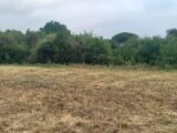 Terrain à bâtir à Embres-et-Castelmaure (11360) 2586293-11177annonce220260720cNSma.jpeg Oc Résidences