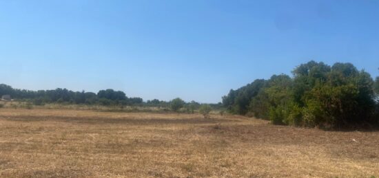 Terrain à bâtir à , Aude