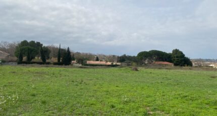 Salles-d'Aude Terrain à bâtir - 2604217-11177annonce1202608180Gwut.jpeg Oc Résidences