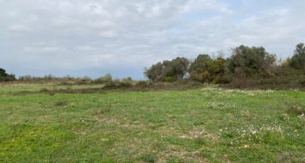 Salles-d'Aude Maison neuve - 2604204-11177annonce120260818rbwBe.jpeg Oc Résidences