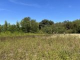 Terrain à bâtir à Castelnaudary (11400) 2608736-3185annonce220260826xHGS8.jpeg Oc Résidences