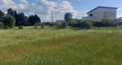 Cruscades Maison neuve - 2626877-11177annonce2202609096Xqvb.jpeg Oc Résidences