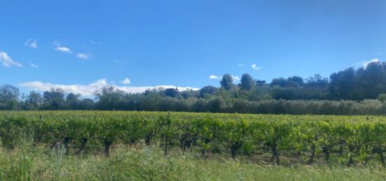 Terrain à bâtir à Ginestas, Occitanie