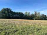 Terrain à bâtir à Marssac-sur-Tarn (81150) 2649401-3177annonce120260925LQkEO.jpeg Oc Résidences