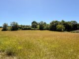 Terrain à bâtir à Auriac-sur-Vendinelle (31460) 2637746-3185annonce120260917l20No.jpeg Oc Résidences